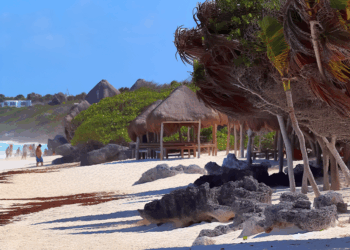 Acceso libre y gratuito a playas públicas de Tulum son un derecho y no un privilegio: Mara Lezama