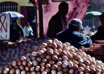 ¿Cuál es el precio del kilo de huevo en México?