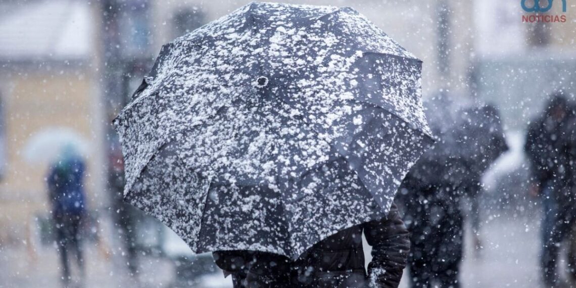 Estados afectados por el frente frío 12