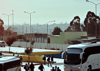 Movilidad y política