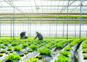 UPL fortalece investigación agrícola con invernaderos de Coahuila