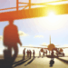 Volaris afirma que “prácticamente” todos sus aviones actualizaron software