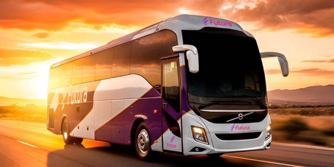 Confirman 5 muertos y 27 heridos en accidente de autobús en la carretera México-Tampico