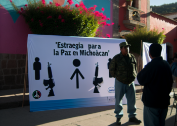 Plan Michoacán, sin atacar causas de violencia: expertos