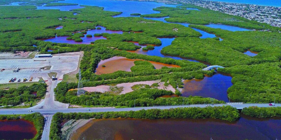 En rezago, más de 40,000 trámites para títulos de agua