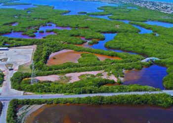 En rezago, más de 40,000 trámites para títulos de agua