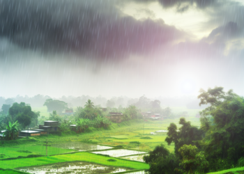 Clima hoy 10 de diciembre en México; lluvias de hasta 50 mm en cuatro estados