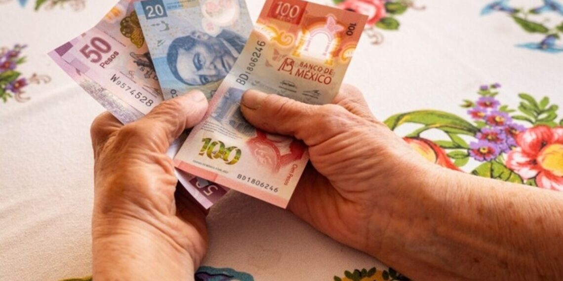 Estos son todos los descuentos que la INAPAM ofrece en Bodega Aurrora para adultos mayores en enero 2026