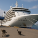 El buque Silver Dawn atraca en el puerto de Manta. – Dimension Turistica Magazine