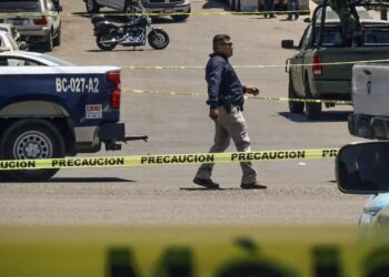 México registró un promedio de 80 presuntos homicidios diarios en el primer semestre de 2025