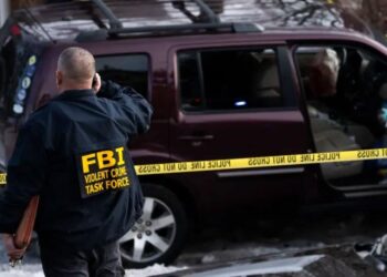 Trump justifica disparo de ICE en redada