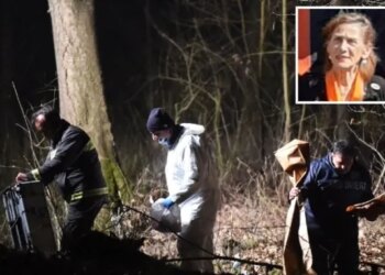 Un hombre mata a su madre en Turín para quedarse con la pensión y esconde el cuerpo: "Le di un golpe con un martillo pequeño"