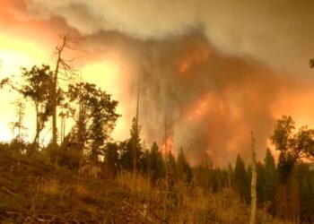 Madre e hijo mueren por incendio en casa de Edomex