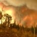 Madre e hijo mueren por incendio en casa de Edomex