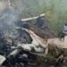 Se estrella una avioneta en Sudán del Sur que iba hacia la capital y deja 14 muertos