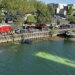 Una conductora en prácticas hunde un autobús en el río Sena en Francia: cuatro personas rescatadas