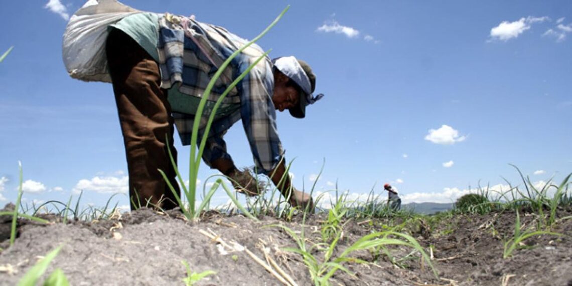 Inseguridad y extorsión, el paro nacional expone la crisis estructural del campo: GCMA