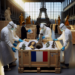 France Backs Colonial-Era Art Restitution Bill