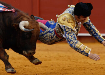 Morante de la Puebla, herido muy grave en Sevilla