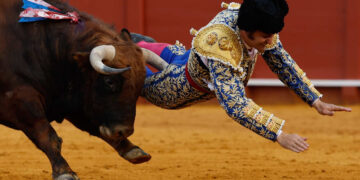 Morante de la Puebla, herido muy grave en Sevilla