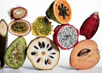 13 Fiber-Rich Foods for a Healthier Gut