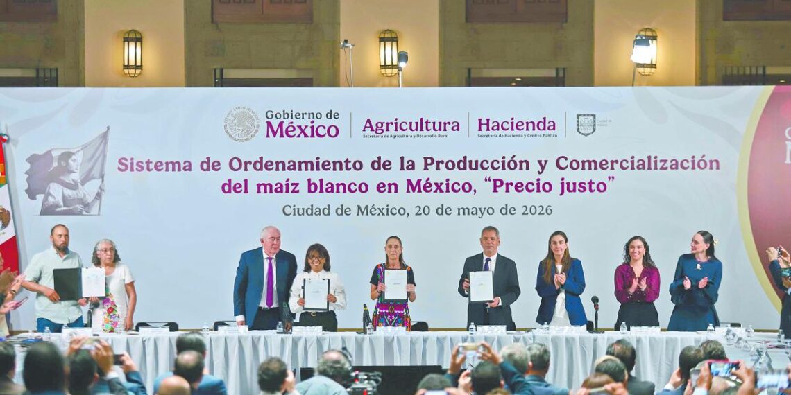 Pactan plan para garantizar precio del maíz blanco
