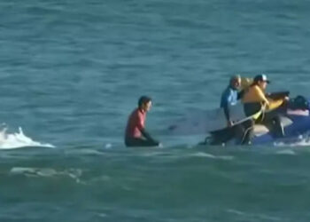 Así fue el ataque de "código rojo" de un animal marino en el Mundial de surf: sus dentelladas