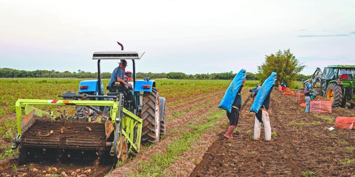 CONPAPA celebra 35 años y llama a reforzar la colaboración para mejorar la sanidad del sector papero en México