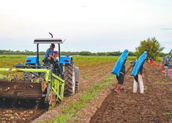 CONPAPA celebra 35 años y llama a reforzar la colaboración para mejorar la sanidad del sector papero en México