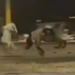 Tres heridos después de que unos 30 caballos escaparan asustados por una avenida de Roma