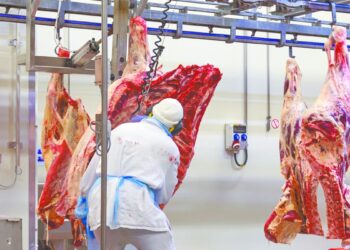 Carne brasileña busca mayor acceso a China