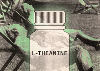 How L-Theanine Can Help You Stay Calm and Sleep Better