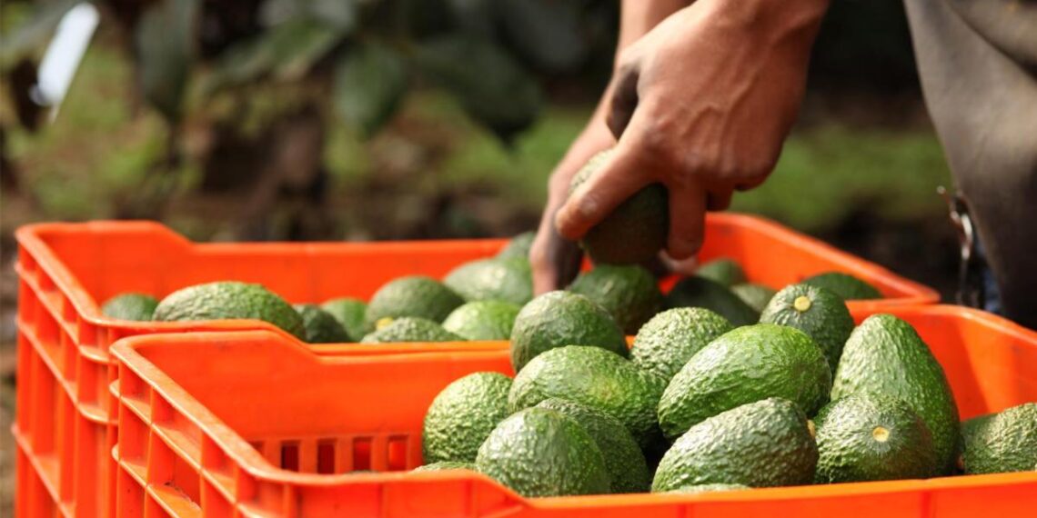 Trabajadores de West Pack cambian de sindicato y eligen a COCENA como nueva representación