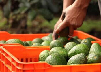 Trabajadores de West Pack cambian de sindicato y eligen a COCENA como nueva representación