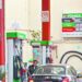 Estímulos al IEPS mitigan impacto de combustible caro en el PIB: SHCP