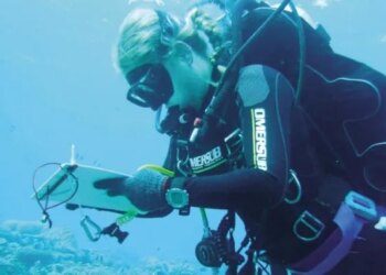 El grupo de italianos tenía permiso para bajar a 50 metros, pero no autoriación para entrar en la cueva. La hija de la bióloga y el guía no estaban inscritos