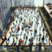 Met Gala Boycott Message Projected on Bezos’s Manhattan Penthouse