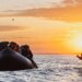 El Reino Unido usará un sistema de reconocimiento facial para detectar a migrantes adultos que se hacen pasar por menores