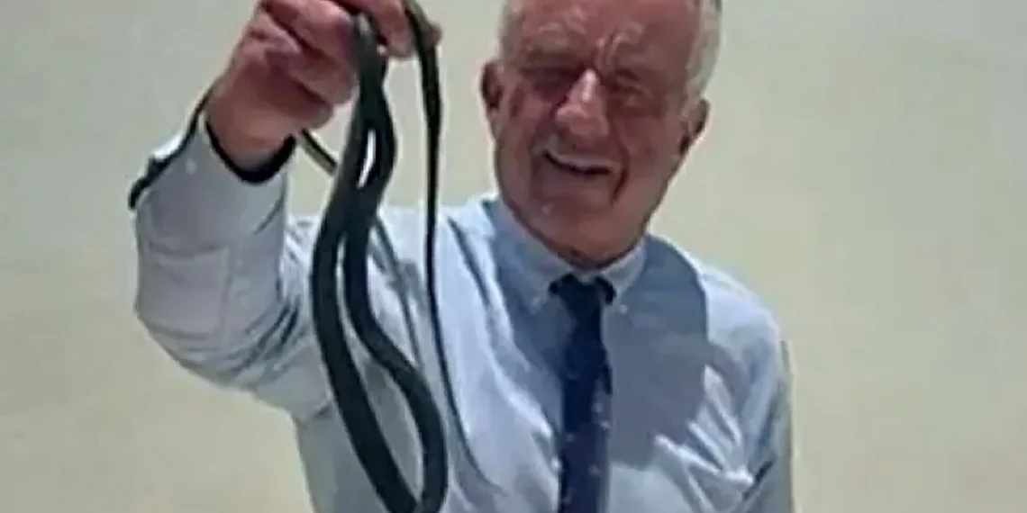 El vídeo viral del secretario de Salud de EEUU, Robert F. Kennedy Jr., manipulando una serpiente