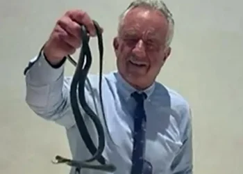 El vídeo viral del secretario de Salud de EEUU, Robert F. Kennedy Jr., manipulando una serpiente