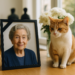 New Orleans philanthropist Adelaide Wisdom Benjamin dies | News
