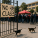 Deja CNTE sin clases a más de un millón de alumnos