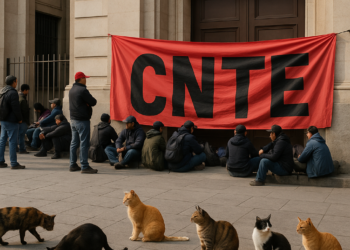 Bloquea CNTE edificio de SEP en Avenida Universidad