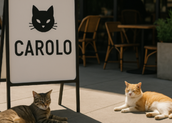 Grupo Carolo nació por la inclusión; hoy genera 70% de sus ventas en Estados Unidos