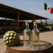 Reciben 23 empresas tequileras certificación Hecho en México