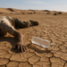 Medio centenar de personas mueren deshidratados en el desierto en Níger