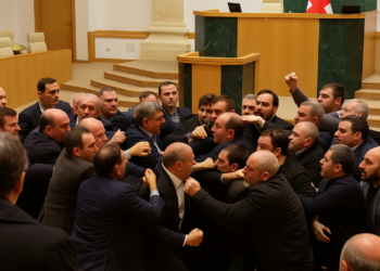 Pelea a puñetazos en el Parlamento de Georgia