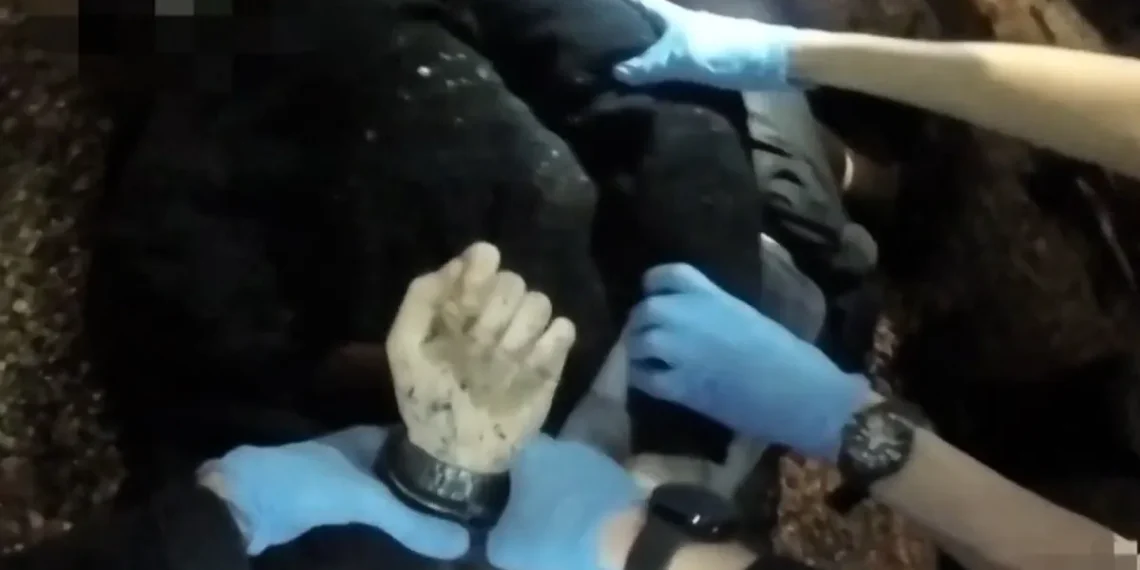 Escándalo en Reino Unido por la muerte de un joven al que su agresor hizo parecer culpable