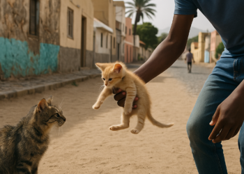 'Vozinha', de sufrir bullying a ser héroe de Cabo Verde