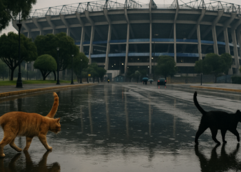 Complican lluvias camino al Azteca